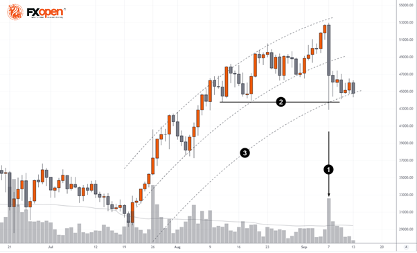 彭博社的预测： BTC 10 万美元， ETH 5 万美元