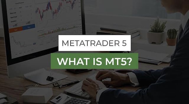 关于 MetaTrader5 MT5平台