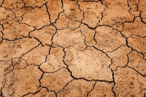 科学家警告欧洲可能遭受500年来最严重的干旱