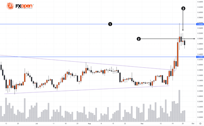 XRP：牛市陷阱？